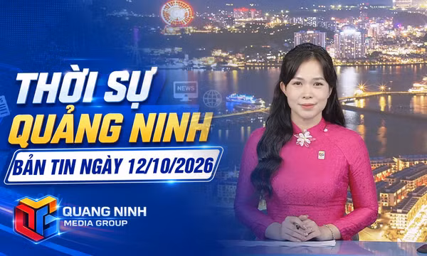 Dự báo thời tiết đêm 12, ngày 13/10/2026
