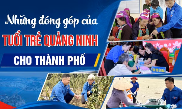 Những đóng góp của tuổi trẻ Quảng Ninh cho thành phố