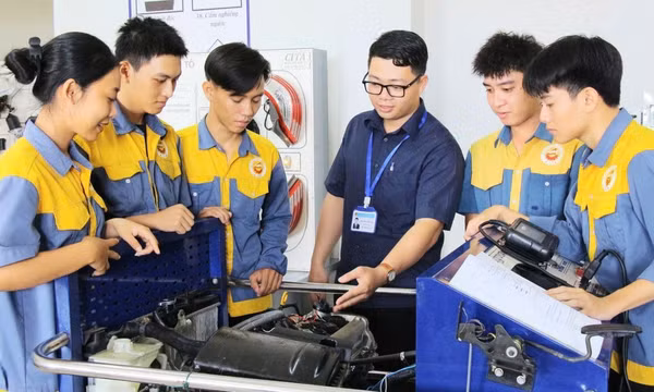 Hướng dẫn xác định cơ sở giáo dục nghề nghiệp công lập thuộc lĩnh vực đặc thù phục vụ sắp xếp, tổ chức lại