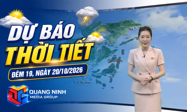  Dự báo thời tiết đêm 19, ngày 20/10/2026
