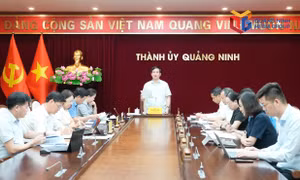 Phấn đấu hoàn thành cao nhất các chỉ tiêu phát triển tổ chức Đảng, đoàn thể trong doanh nghiệp ngoài khu vực nhà nước
