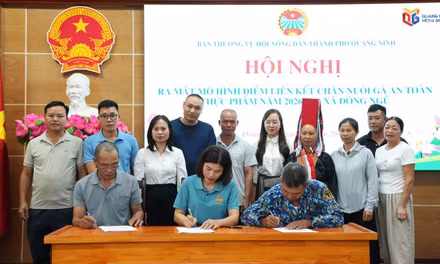 Ra mắt mô hình điểm “Liên kết chăn nuôi gà an toàn thực phẩm” tại xã Đông Ngũ