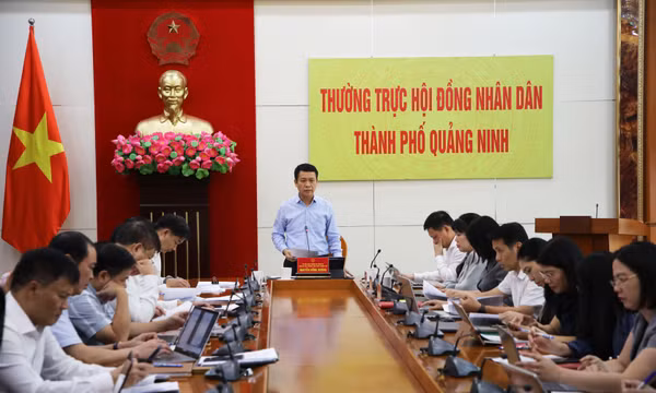 HĐND thành phố giám sát quản lý, sử dụng tài sản công sau sắp xếp tổ chức bộ máy