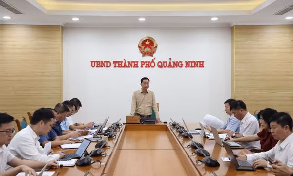Tháo gỡ vướng mắc triển khai các dự nhà máy điện gió trên địa bàn thành phố