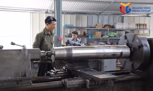 Hình thành khu vực sản xuất tập trung