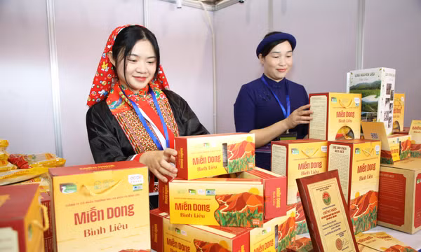 Sản phẩm OCOP 5 sao Miến dong Bình Liêu tham dự tại Hội chợ OCOP và Không gian ẩm thực chào mừng Quảng Ninh trở thành thành phố.