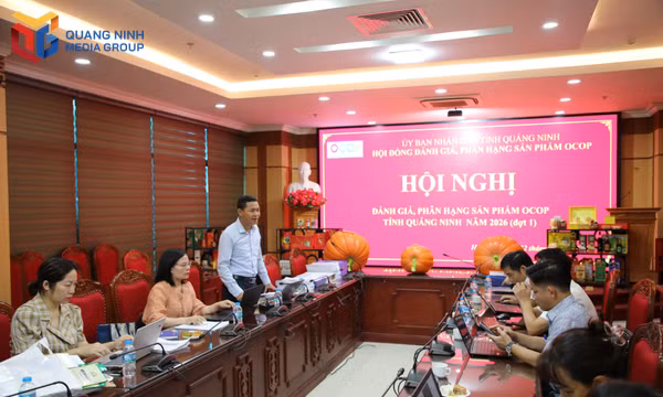 Đánh giá, phân hạng sản phẩm OCOP tỉnh năm 2026