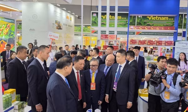 Hơn 50 sản phẩm OCOP thành phố Quảng Ninh tham dự tại Hội chợ Thương mại ASEAN – Trung Quốc lần thứ 23