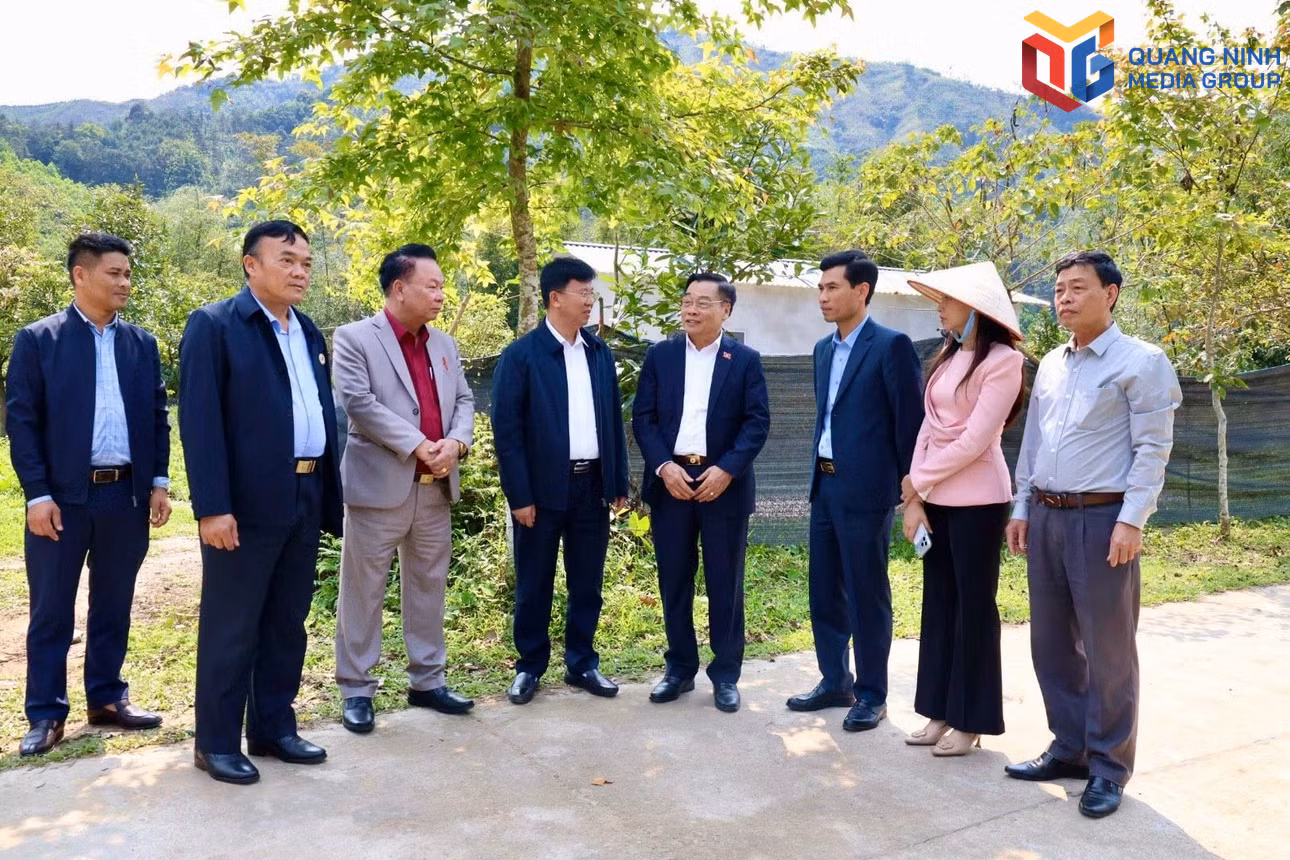 bqn_tr_hoi-ccb-thanh-pho-va-hoi-ccb-xa-quang-duc-khao-sat-thuc-te-va-thong-nhat-chu-truong-ho-tro-cai-tao-nang-cap-tuyen-duong-vao-khu-dan-cu-ban-moc-13-xa-quang-duc935911-n.jpg