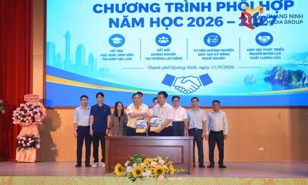 Trường Cao đẳng Việt – Hàn Quảng Ninh: Chương trình cung cấp thông tin thị trường lao động