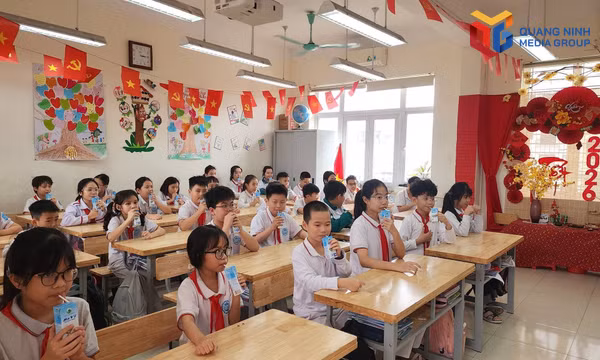 Các em học sinh trường Tiểu học Quang Trung (phường Hạ Long) uống sữa tại trường học.