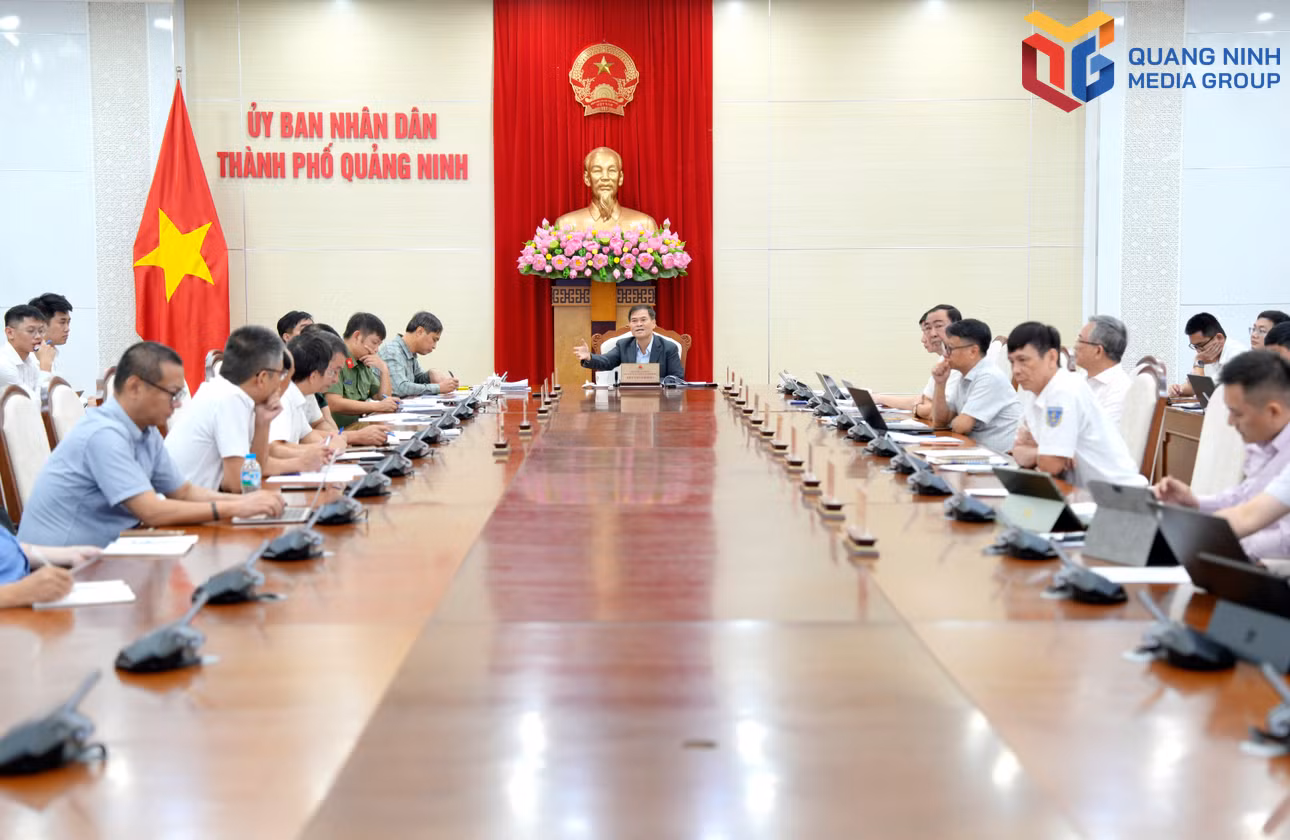 bqn_tr_dp-9058.jpg