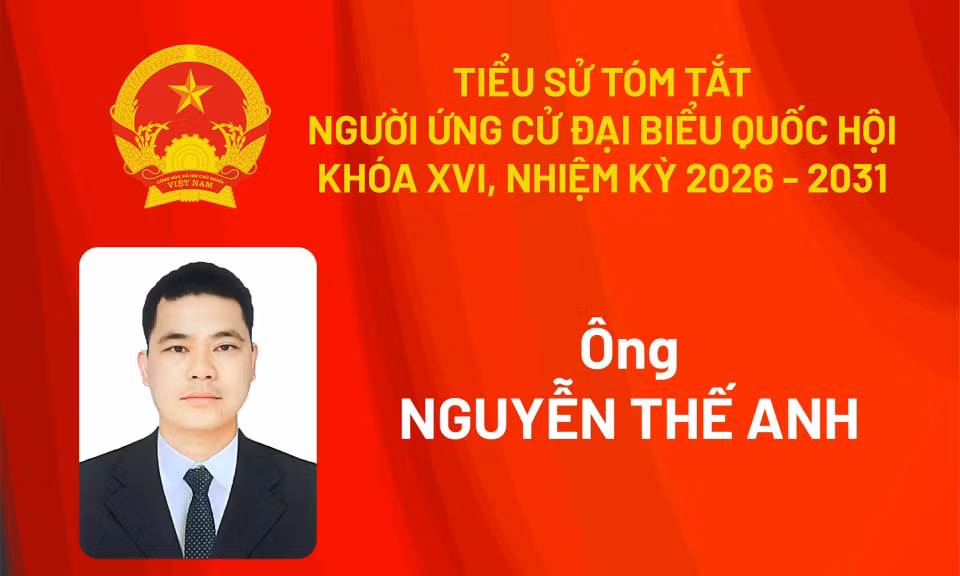 Tiểu sử ứng cử viên đại biểu Quốc hội khóa XVI Nguyễn Thế Anh