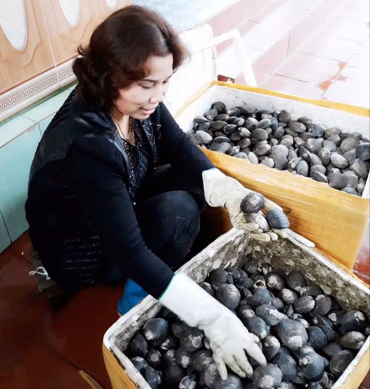 Gia đình chị Nguyễn Thị Ngát là đại lý cung cấp ngán lớn nhất trên địa bàn tỉnh hiện nay.