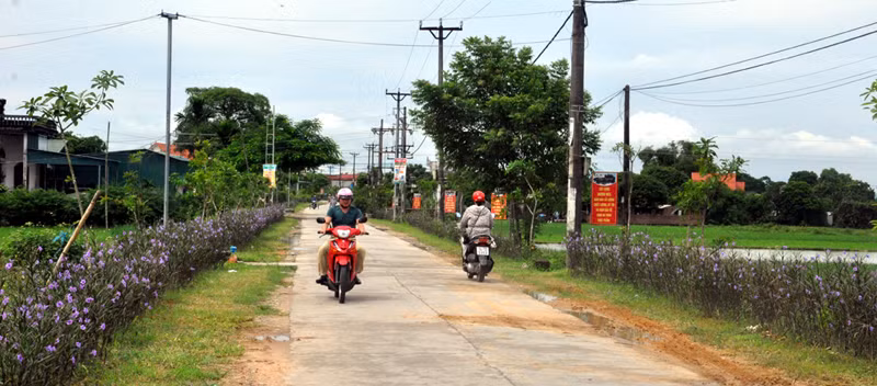 Những con đường hoa ở thôn 1, xã Quảng Minh.
