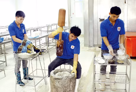 Giã tay được coi là một trong những kỹ thuật truyền thống để tạo ra chất lượng đặc trưng của “chả mực Hạ Long”.