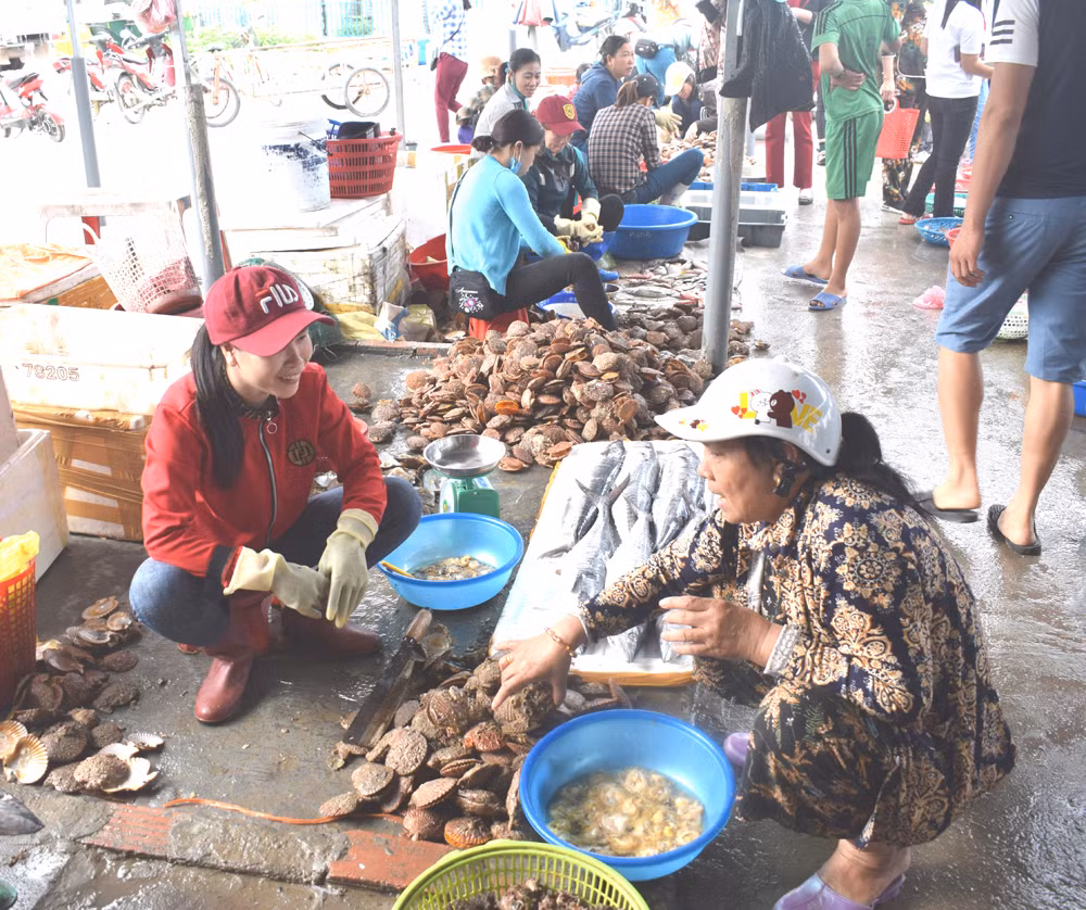 Sò điệp được người bán chất thành đống ở chợ Cô Tô