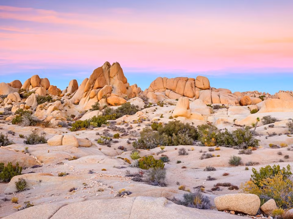 Sa mạc Mojave, California, Nevada: Nằm chủ yếu trong vùng lãnh thổ của California và Nevada, Mojave có diện tích gần 65.000 km2 và là sa mạc khô nhất ở Bắc Mỹ. Nơi đây có ít thảm thực vật nhưng được biết đến là địa điểm duy nhất trên thế giới có thể tìm thấy cây Joshua. Giữa cảnh quan núi đá của sa mạc, những cây Joshua trông giống như những người lính đang đứng gác. Ảnh: S.Borisov/Shutterstock.