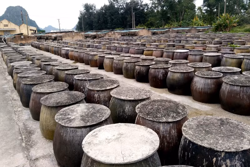 Nước mắm sá sùng được chế biến qua 6 công đoạn, thời gian kéo dài khoảng 24 tháng. Đó là, lựa chọn cá nguyên liệu; phối trộn cá, muối cho phù hợp; ủ chượp và đánh đảo trong các chum, bể; lọc rút thành phẩm; phơi nâng cao độ đạm; phân loại và đóng chai, phân phối…