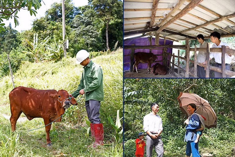 Bí thư Chi bộ kiêm Trưởng thôn Lỷ A Tài là tấm gương làm kinh tế giỏi để bà con trong thôn noi theo.