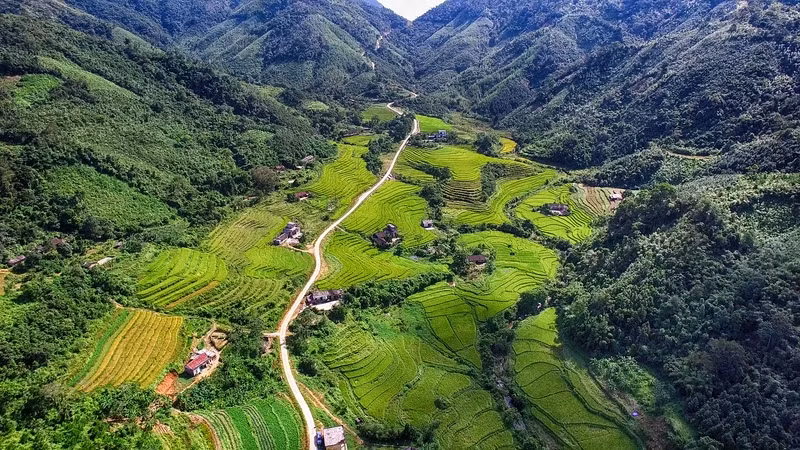 Thôn Mào Sán Cáu, xã Quảng An, huyện Đầm Hà đang dần 