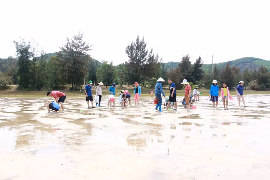 Du khách tham gia tour du lịch trải nghiệm cào ngao cùng người dân xã đảo Quan Lạn, huyện Vân Đồn.