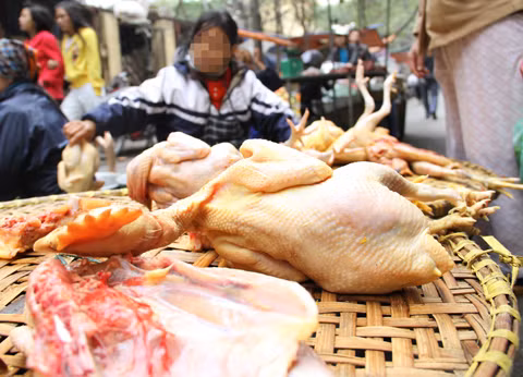  Bằng giác quan thông thường... người tiêu dùng không thể phát hiện ra gà có tồn dư thuốc kháng sinh.