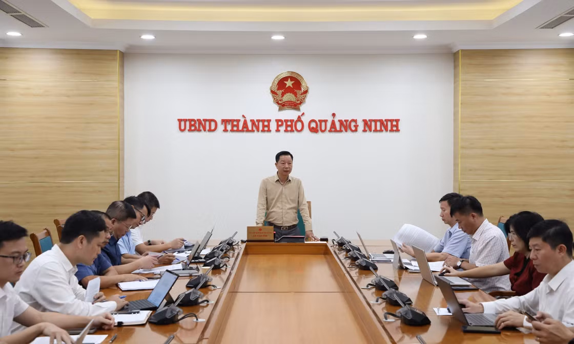 Tháo gỡ vướng mắc triển khai các dự án điện gió trên địa bàn thành phố