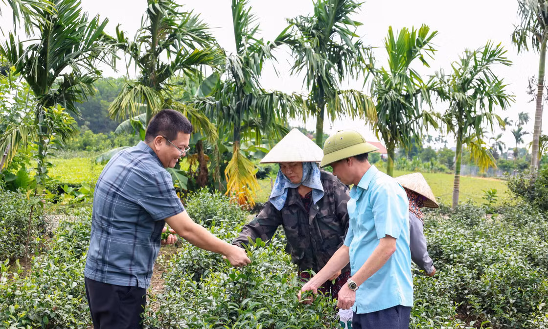 Xã Quảng Đức: Tập trung phát triển nông sản chủ lực
