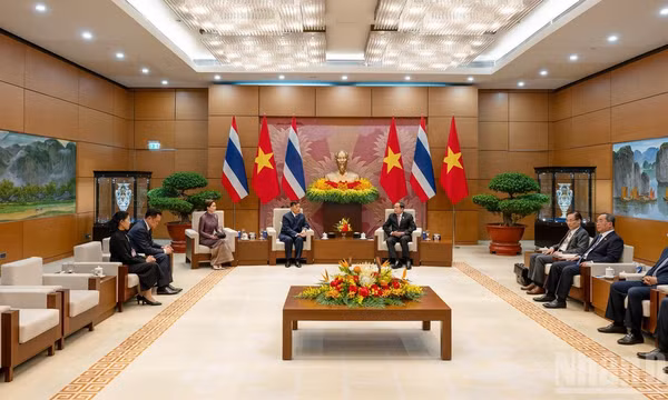 Quang cảnh cuộc hội kiến tại Nhà Quốc hội, ngày 15/9/2026. (Ảnh: THỦY NGUYÊN) 