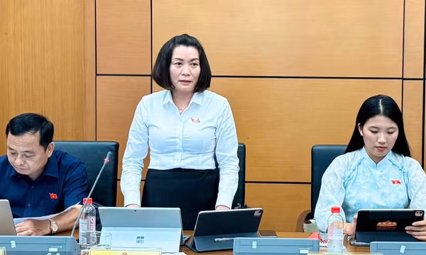 Đại biểu Nguyễn Minh Tâm, Phó trưởng Đoàn đại biểu Quốc hội chuyên trách tỉnh Quảng Trị phát biểu tại tổ. (Ảnh: TL)
