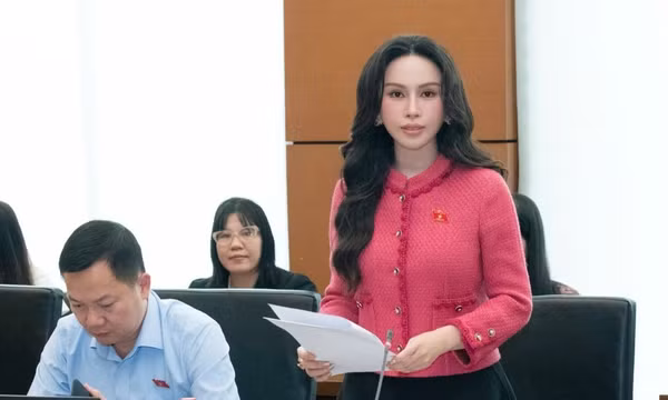 Đại biểu Lê Nữ Thùy Dương (Đoàn thành phố Đồng Nai) phát biểu tại tổ. (Ảnh: TL)