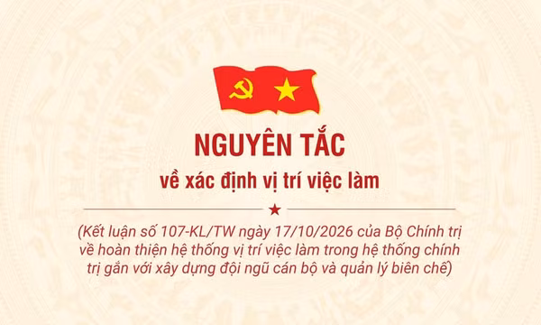 Nguyên tắc về xác định vị trí việc làm