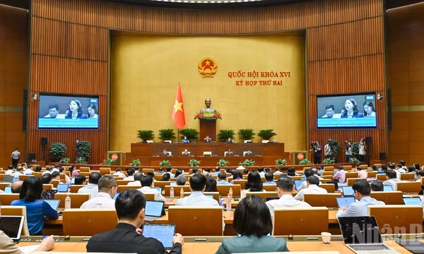 Quốc hội thảo luận ở hội trường về dự thảo Bộ luật Hình sự (sửa đổi). (Ảnh: THỦY NGUYÊN)