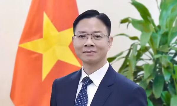 Thứ trưởng Ngoại giao Ngô Lê Văn.
