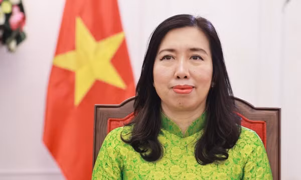Thứ trưởng Ngoại giao Lê Thị Thu Hằng. (Ảnh: Bộ Ngoại giao Việt Nam cung cấp) 