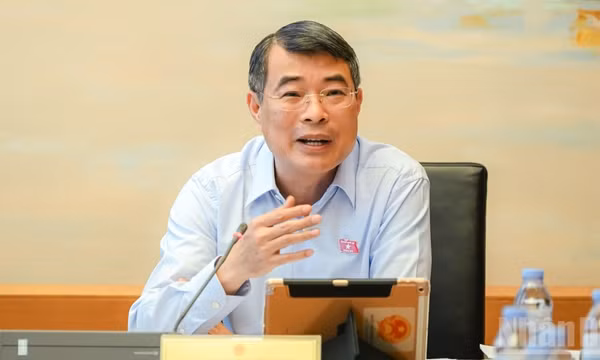 Thủ tướng Chính phủ Lê Minh Hưng phát biểu ý kiến tại tổ. (Ảnh: DUY LINH)