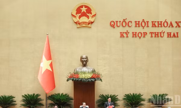 Tiếp tục hoàn thiện các quy định về tố tụng hình sự và xử lý tài sản liên quan đến tội phạm