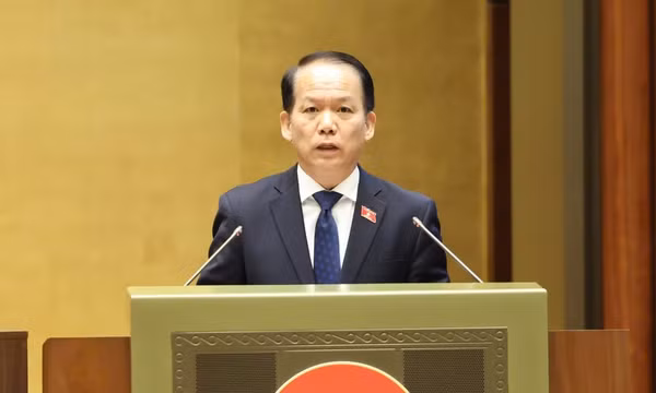 Cấm tham gia đấu giá quyền sử dụng đất ở đối với cá nhân trúng đấu giá nhưng 'bỏ cọc'
