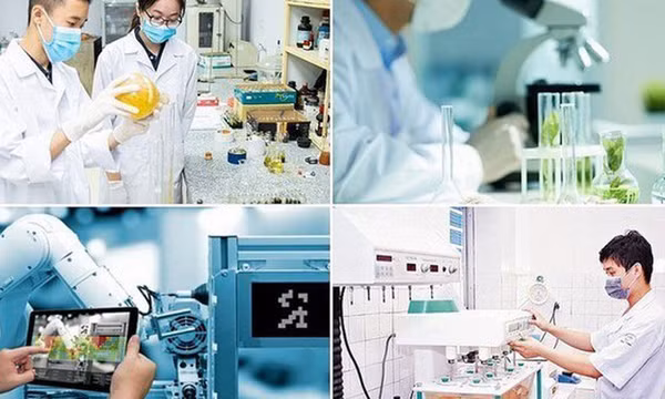 Cơ chế thu hút chuyên gia, tài năng trẻ trong hoạt động đổi mới sáng tạo
