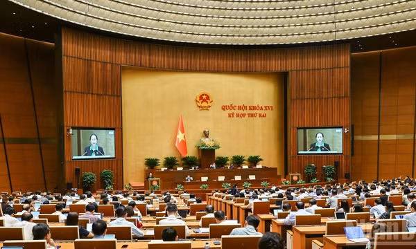 Quang cảnh phiên họp toàn thể ở hội trường ngày 20/10. (Ảnh: DUY LINH)