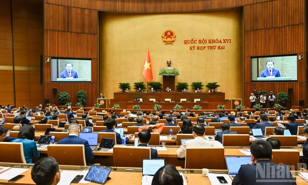 Quốc hội làm việc tại hội trường nghe Tờ trình và Báo cáo thẩm tra dự án Luật Bưu chính (sửa đổi). (Ảnh: DUY LINH) 