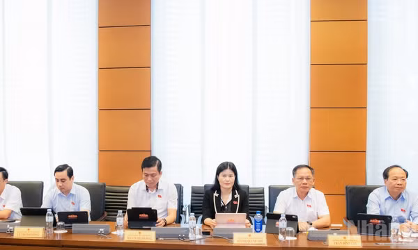 Đại biểu Quốc hội thảo luận tại tổ. (Ảnh: DUY LINH) 