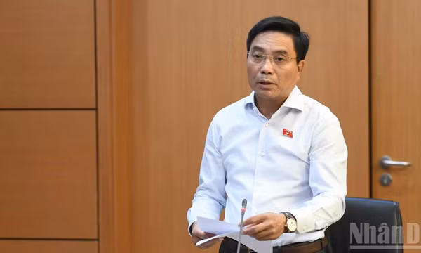 Phó Chủ tịch Quốc hội Nguyễn Doãn Anh phát biểu tại phiên thảo luận tổ. (Ảnh: DUY LINH)
