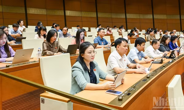 Đại biểu Quốc hội dự phiên họp ở hội trường sáng 23/8. (Ảnh: DUY LINH)