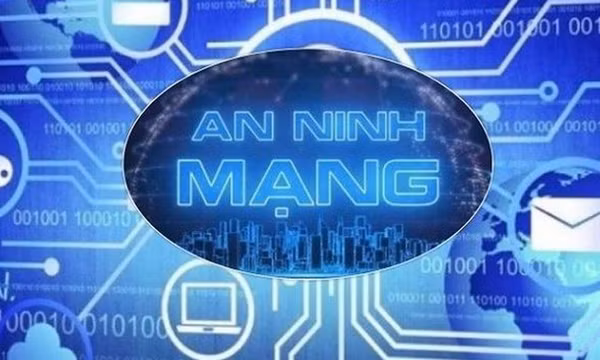 Doanh nghiệp trong nước và doanh nghiệp nước ngoài khi cung cấp dịch vụ trên mạng viễn thông, mạng Internet và các dịch vụ gia tăng trên không gian mạng tại Việt Nam phải thực hiện các hoạt động bảo đảm an ninh thông tin mạng theo quy định.
