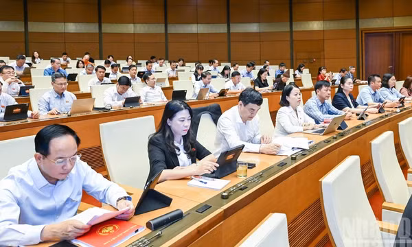 Các đại biểu Quốc hội dự phiên họp ở hội trường ngày 23/8. (Ảnh: DUY LINH)