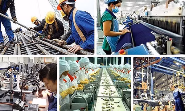 Thủ tướng chỉ đạo giải quyết dứt điểm, thiết thực, hiệu quả các khó khăn, vướng mắc của doanh nghiệp