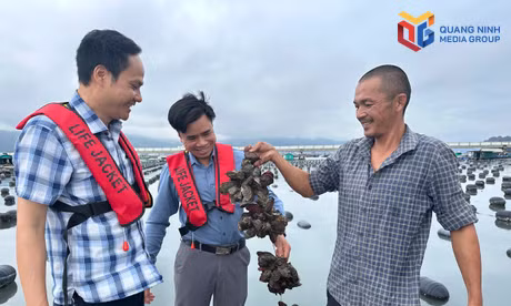 Tạo dư địa mới cho tăng trưởng nông nghiệp