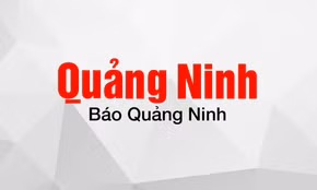 UBND tỉnh: Triển khai các giải pháp kích cầu đầu tư